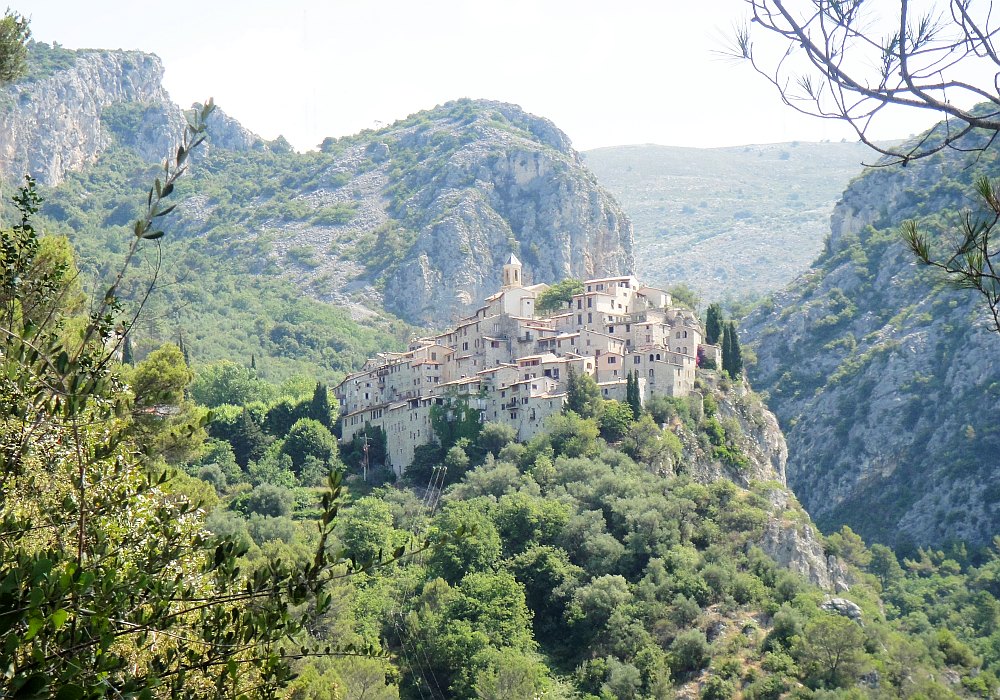 Image 12